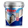 sơn lót chống kiềm ngoài trời Rober