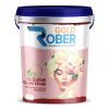Rober gold sơn ngoại thất cao cấp bề mặt bóng
