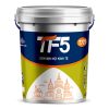 TF5 sơn mịn nội kinh tế