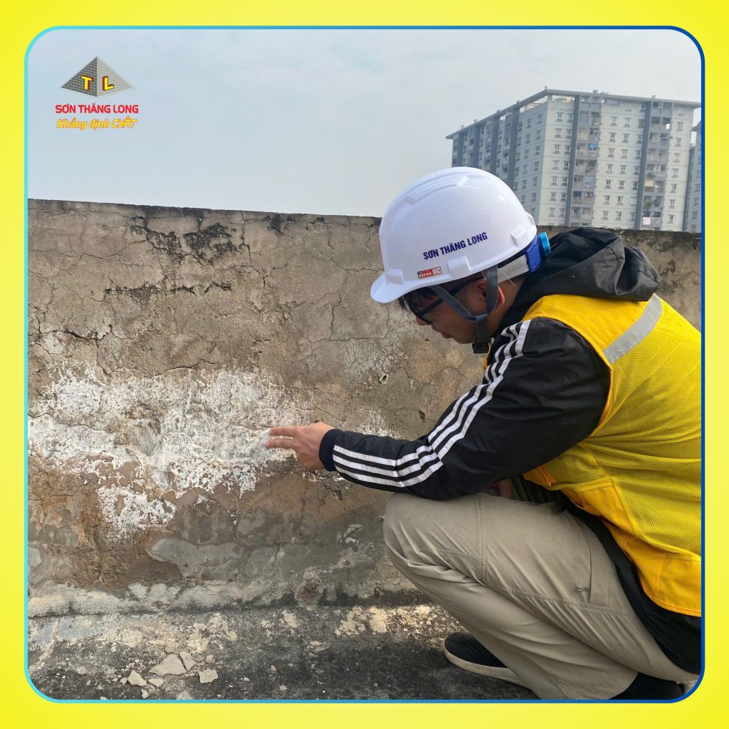 Kỹ thuật Sơn Thăng Long kiểm tra bề mặt mái nứt và rêu mốc